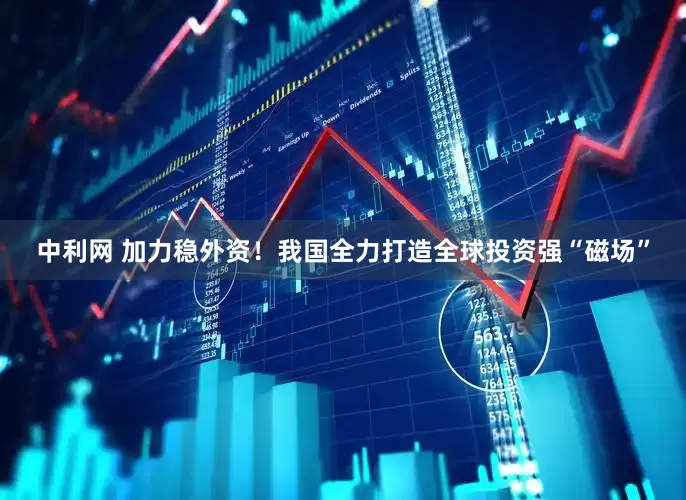 中利网 加力稳外资！我国全力打造全球投资强“磁场”