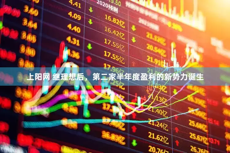 上阳网 继理想后，第二家半年度盈利的新势力诞生